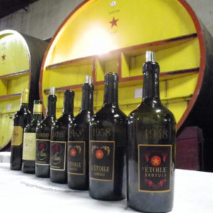 Les vins du Languedoc